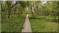 Path through North Leigh Common