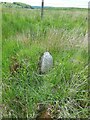 SX2276 : Old Boundary Marker on the boundary of Altarnun and North Hill parishes by P G Moore