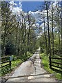 Road leading to Nant Gwdi car park