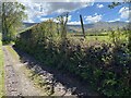 Track leading to Clwydwaunhir