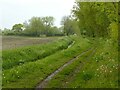 Bridleway near Hoveringham