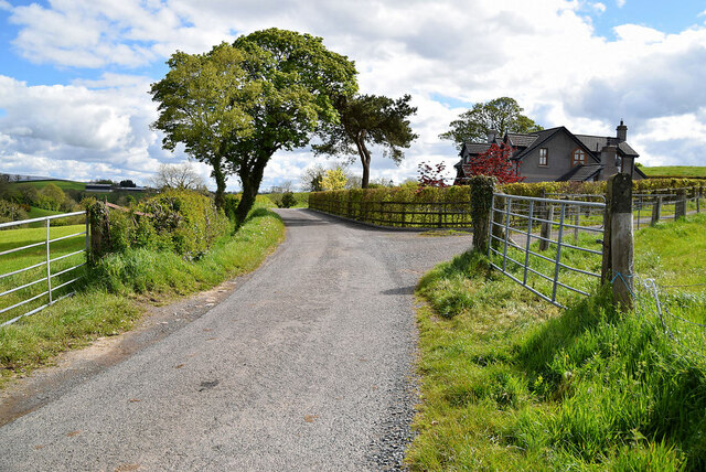 Trees along Tullycunny Road © Kenneth Allen :: Geograph Ireland