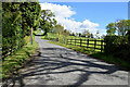 Tree shadows along Ballynahatty Road