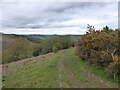 Hillside path near Lordshill