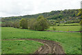 Track and path off Gin Lane