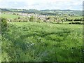 Farmland above Wick