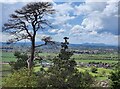 SJ5313 : View west from Haughmond Hill by Mat Fascione