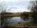 Regeneration of wildlife ponds