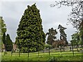 Trees at Eaton Bishop