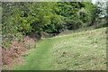 Usk Valley Walk path to gate