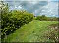 Footpath KIR/87/10 at the summit of a little hill, Lepton