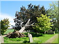 Fallen Tree and smashed Wall. St Andrews Church Bacton