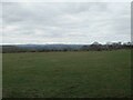 Farmland on the Edge of Chopwell Woods