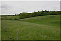 Hilly countryside west of Stoke-by-Nayland