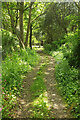 Track, Prideaux Place