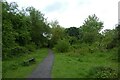 Path in St. Nicholas Fields