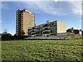 Northumbria Lodge and Moor Head, Cowgate