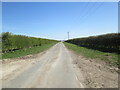 SE8551 : Roman  Road  toward  Warter  from  Coldwold  Cottages by Martin Dawes