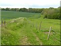 Bridleway to Epperstone