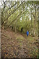 Footpath, Willow Bed Shaw