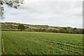 Farmland, Moat Mill Farm