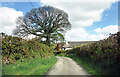 Burn Lane Cottage, North Brentor