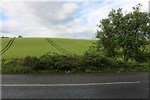 TL1430 : Sloping field by Hexton Road by David Howard