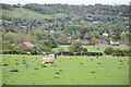 Sheep in field south of Otford