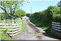 Driveway to Glebe Barn