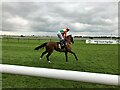 TL6262 : Cantering to the starting stalls on the Rowley Mile by Richard Humphrey