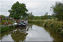 SJ9553 : Caldon Canal approaching Hazelhurst Locks in Staffordshire in Staffordshire by Roger  D Kidd