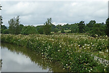 SJ9553 : Caldon Canal near Hazelhurst Locks in Staffordshire in Staffordshire by Roger  D Kidd