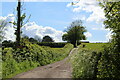 Driveway to farms, Llanfair Kilgeddin