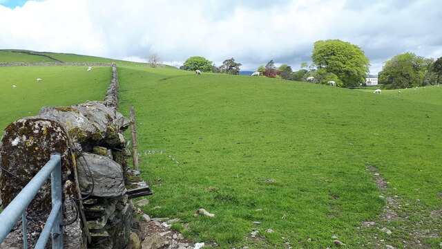 Sheep grazing near Shaw End, Cumbria