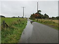 NO7464 : Flooded road near St Cyrus by Scott Cormie