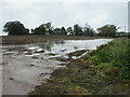 Flooded field at the Mains of Woodstone