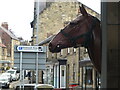 NU1813 : Fake Horse Head, Bondgate Within, Alnwick by Geoff Holland