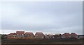 New houses on the edge of  Nafferton