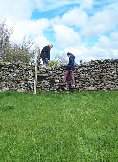 Step stile in a stone wall