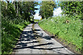 Tree shadows along Dreenan Road