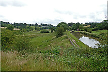 SJ9453 : Canal and farmland at Hazelhurst Locks in Staffordshire by Roger  D Kidd