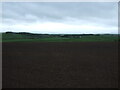 NS4729 : Field near Ladyyard by JThomas