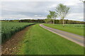 Footpath to Old Warden