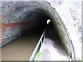 SJ4134 : The Ellesmere Tunnel on the Llangollen Canal by Jeremy Bolwell