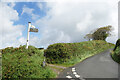 Leaning Tree and Signpost