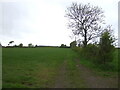 NS5026 : Farm track off the A76 near Mauchline by JThomas