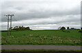 Crop field north of Irvine Road