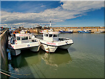 NU2232 : North Sunderland Harbour (Seahouses) by David Dixon