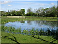 Large pond at Gwerni