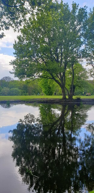 Trent Park Reflections
